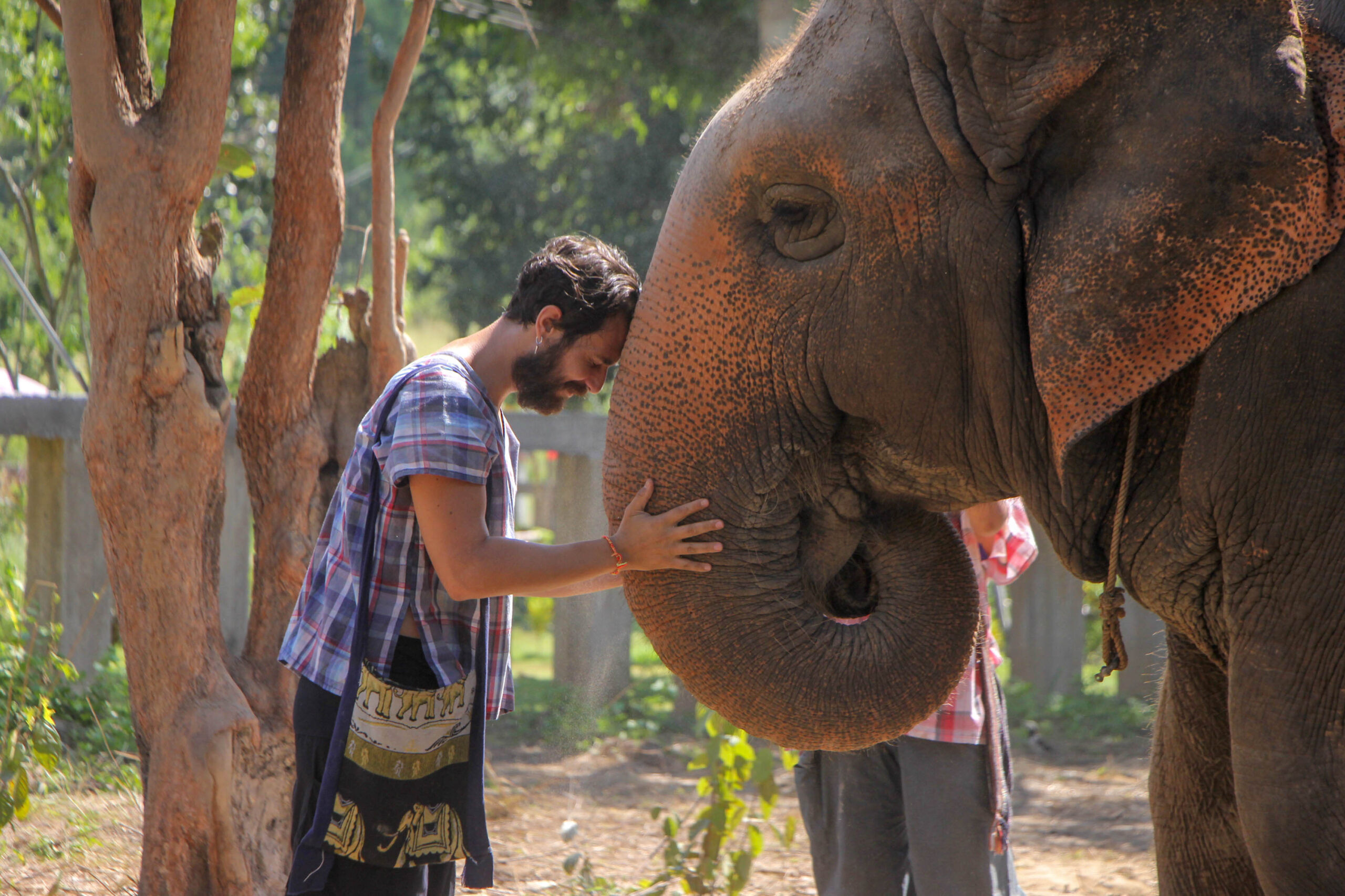 Maerim Elephant Sanctuary